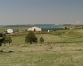 Randle Performance Horses at Magic Dog Ranch